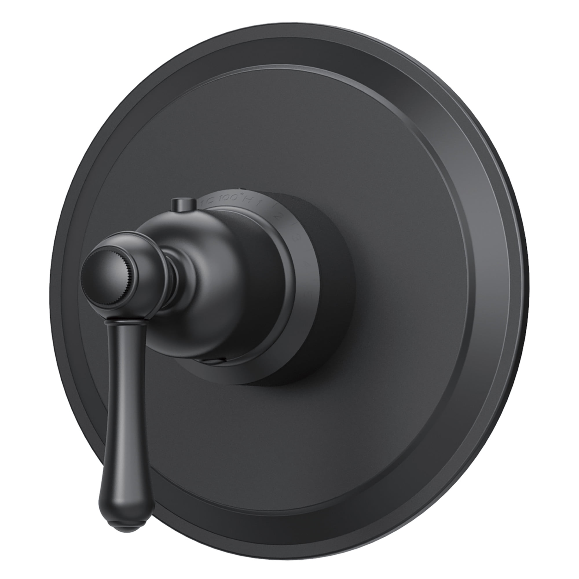 Satin Black Single Lever Thermostatic Shower Valve Trim