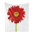 thumbnail image 1 of Gerber Daisy Soft Flannel Fleece Throw Blanket, Closeup Flower Photo Petal with Stem on Plain Backdrop, Cozy Plush for Indoor and Outdoor Use, 50" x 60", Vermilion Apple Green, by Ambesonne, 1 of 5
