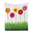 thumbnail image 1 of Gerber Daisy Soft Flannel Fleece Throw Blanket, Horizontal Order Colorful Flowers on Grass Energetic Spring Illustration, Cozy Plush for Indoor and Outdoor Use, 50" x 60", Multicolor, by Ambesonne, 1 of 5
