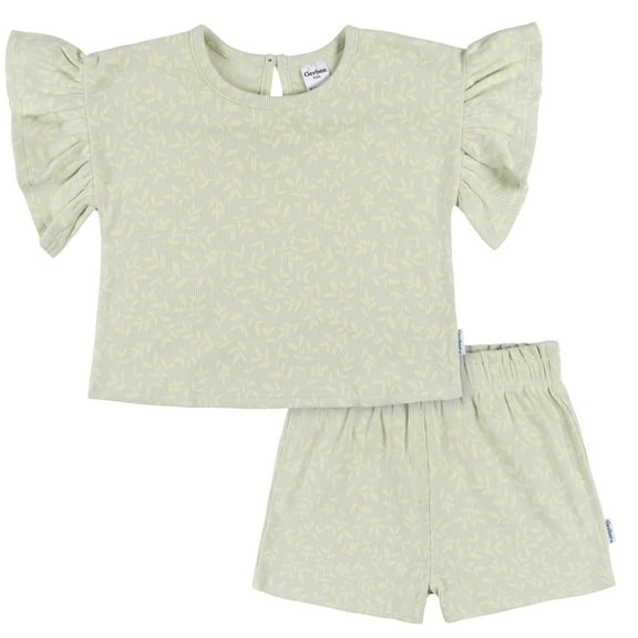 Gerber Girl Outfit Set, 2 pieces, 12 Months - 5 T