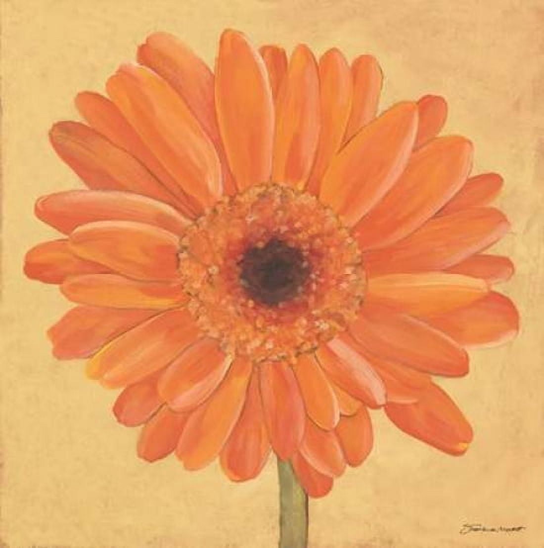 Gerber I Canvas Art - Stephanie Marrott (24 x 24)