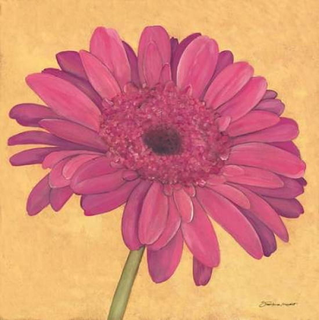 Gerber II Canvas Art - Stephanie Marrott (24 x 24)