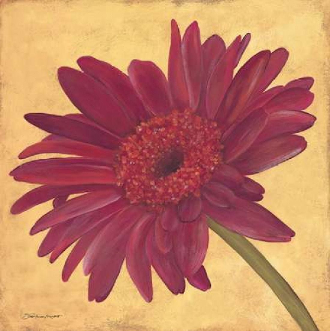 Gerber III Canvas Art - Stephanie Marrott (24 x 24)