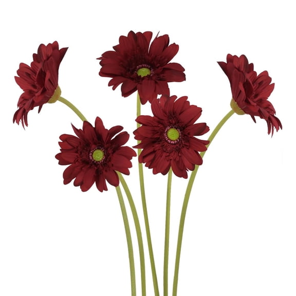 Gerbera Daisy Artificial Flowers – Real Touch Fake Daisy Flowers 5PCS, 25.6" Long Stem Artificial Flowers for Summer Centerpieces, Wedding Birthday Party Home Decor (Red)