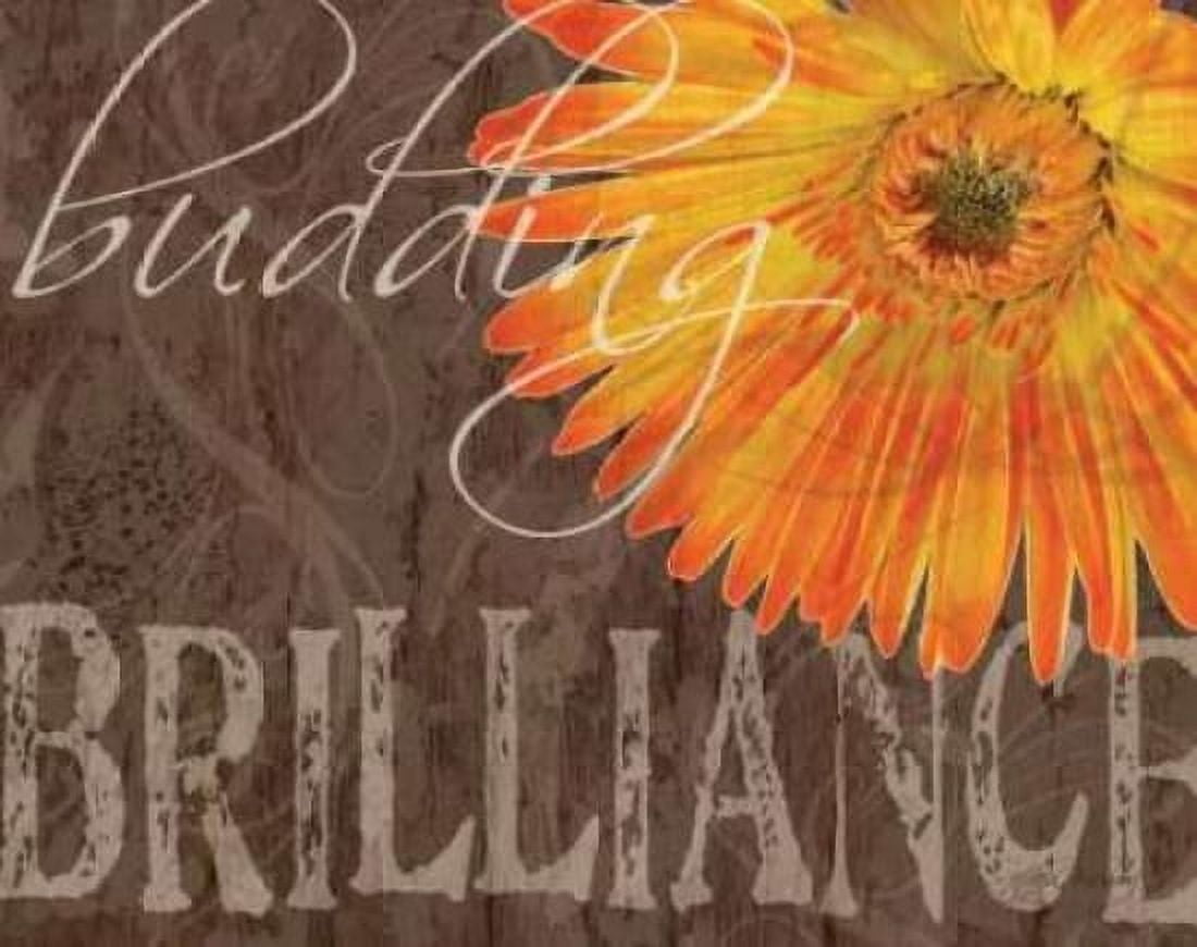 Gerbera II Canvas Art - Sylvia Murray (24 x 30)