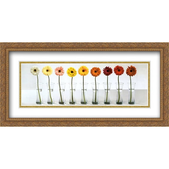 Gerbera Spectrum 2x Matted 40x16 Large Gold Ornate Framed Art Print