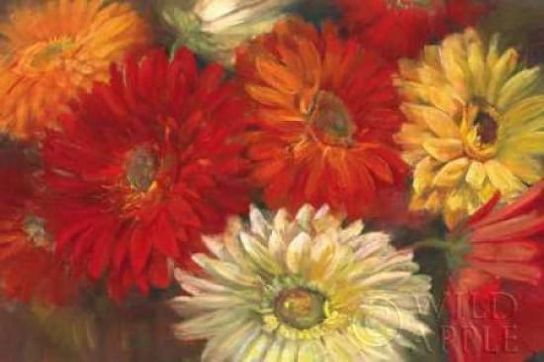 Gerberas Canvas Art - Carol Rowan (12 x 18)