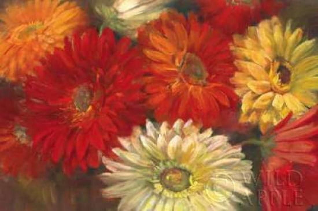 Gerberas Canvas Art - Carol Rowan (24 x 36)