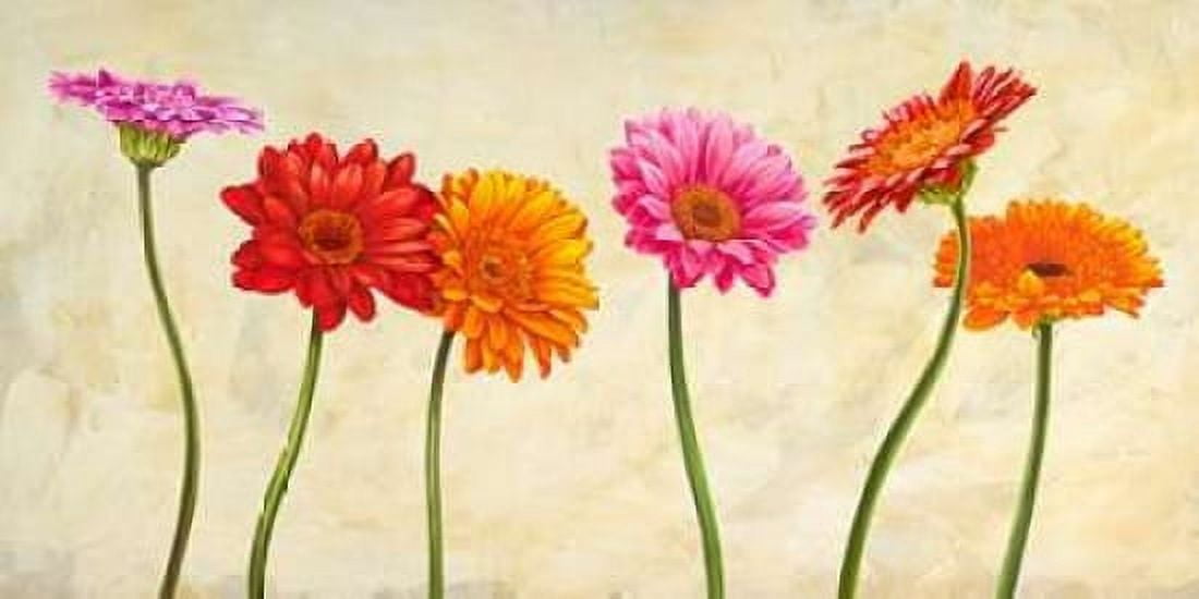 Gerberas Canvas Art - Cynthia Ann (10 x 20)