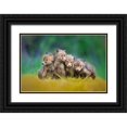 thumbnail image 1 of Gerec, Pali 32x23 Black Ornate Wood Framed with Double Matting Museum Art Print Titled - ... Little Explorers ..., 1 of 4