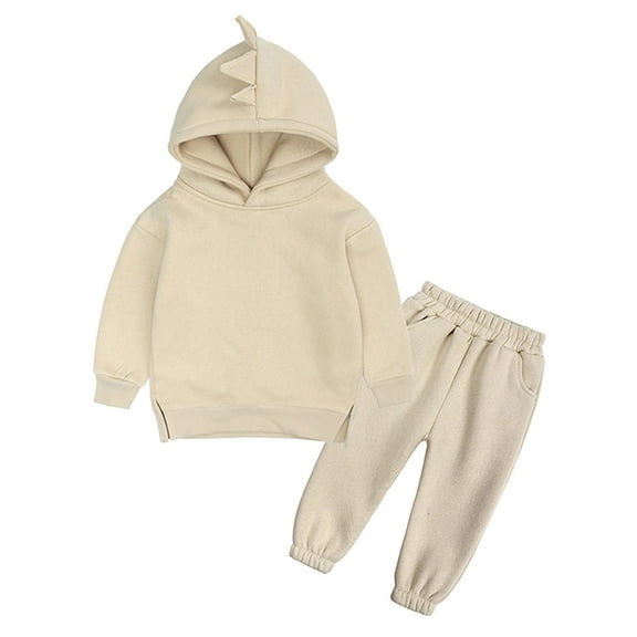 Gerichy Toddler Baby Boy Clothes Fall Winter Outfit, Baby Boys Outfit 2PCS Toddler Kids Babys Girls Boys Spring Winter Solid Warm Thick Long Sleeve Pants Hooded Hoodie Sweatshirt Set Outfits