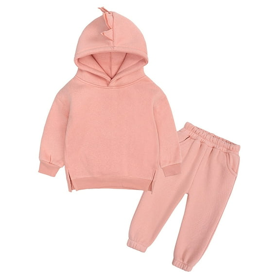 Gerichy Toddler Baby Boy Clothes Fall Winter Outfit, Baby Boys Outfit 2PCS Toddler Kids Babys Girls Boys Spring Winter Solid Warm Thick Long Sleeve Pants Hooded Hoodie Sweatshirt Set Outfits