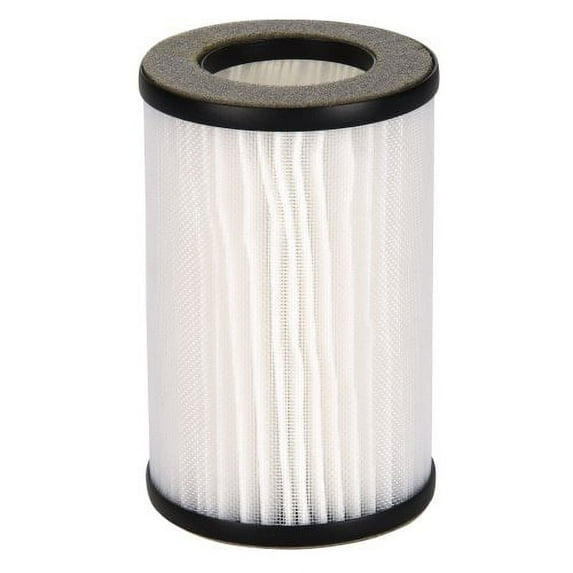 GermGuardian Allergen Replc Filter for AC085 Portable Air Purifier, EA (FLT085)