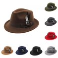thumbnail image 1 of German Festival Fedora Hat - Traditional Felt Hat with Feather for Oktoberfest Party Outdoor Events, 1 of 3