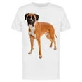 thumbnail image 1 of German Fawn-color Boxer T-Shirt Men -Image by Shutterstock, Male Large, 1 of 2