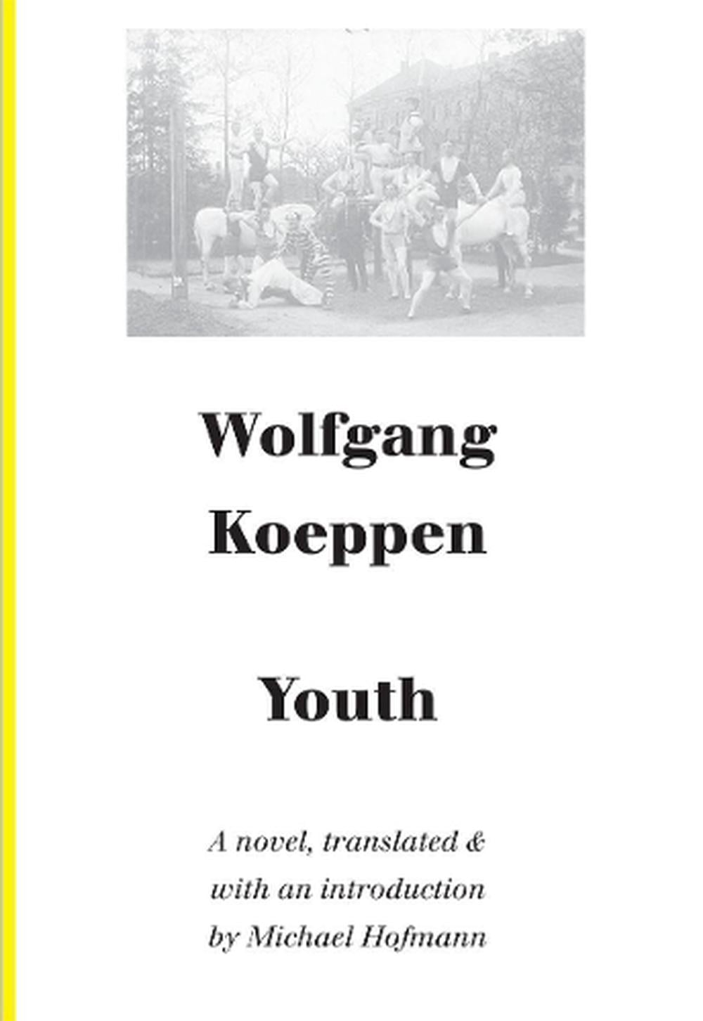 German Literature: Youth (Paperback)