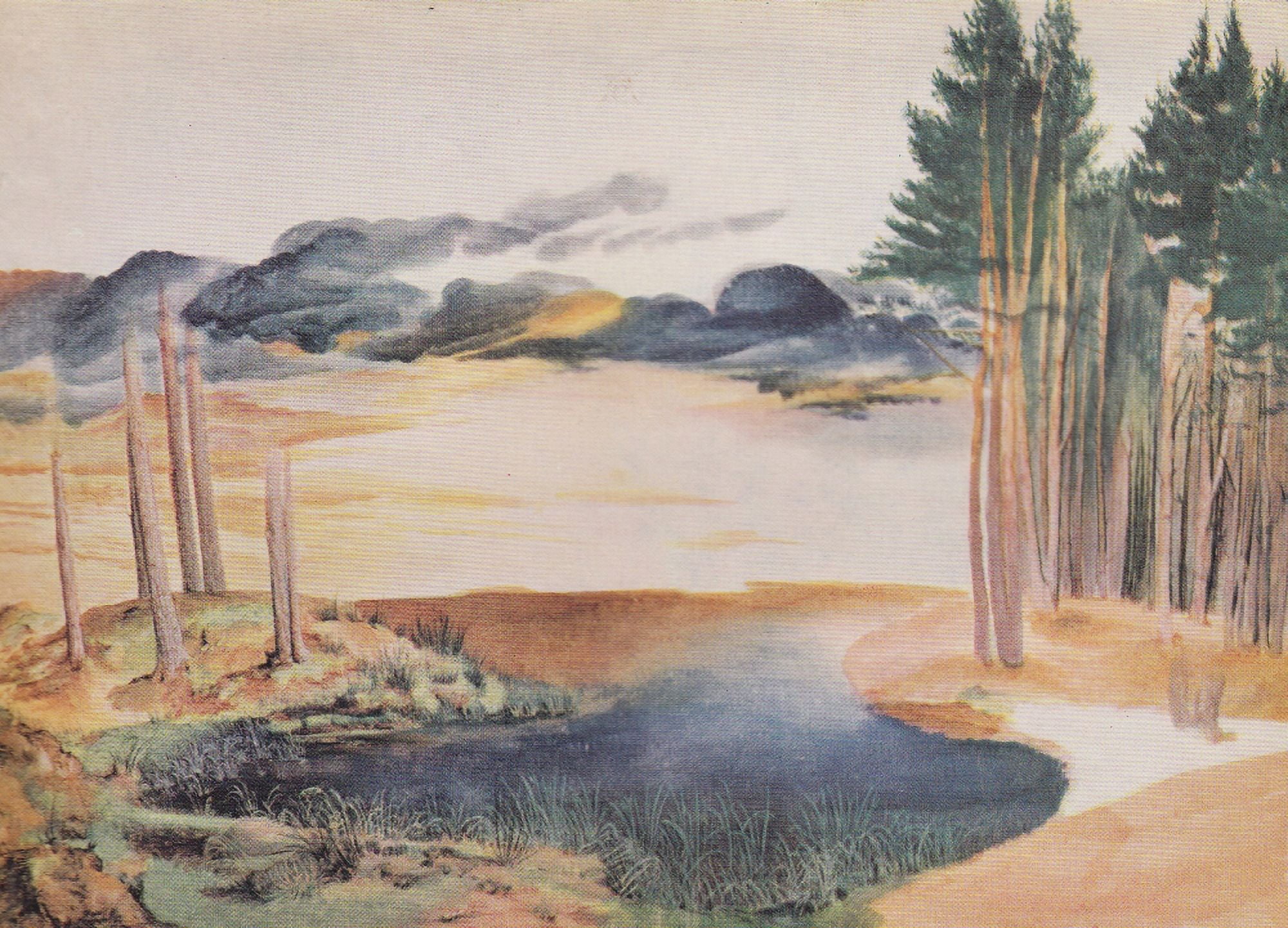 German Painting Fir trees near water Canvas Art - Albrecht D???rer (18 x 24)