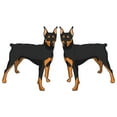 thumbnail image 1 of German Pinscher Decal | Indoor/Outdoor | Dog Lover Super Cute Sticker for SUV Windows, Dorm Rooms, Bedroom, Offices | SignMission personalized gift | 2 Pack of 6", 1 of 1