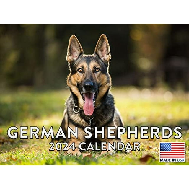 German Shepherd Calendar 2024 Wall Calender Shepard Gifts
