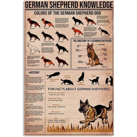 German Shepherd Knowledge Metal Tin Signs German Shepherd Infographics Reading Aluminum Posters Dogs Science Guide Plaques Kennels Home Pet Stores Wall Dcor 8x12 inches