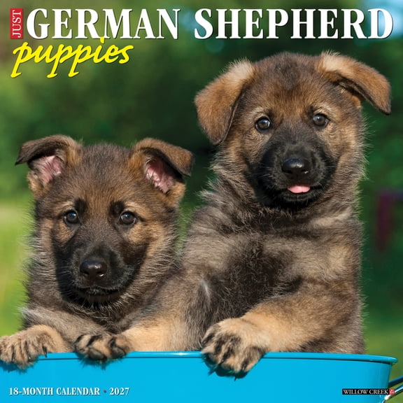 German Shepherd Puppies 2027 12 X 12 Wall Calendar, (Paperback)
