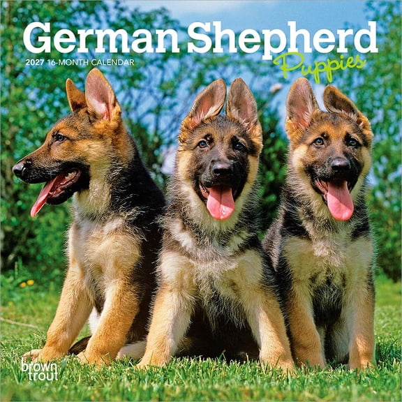 German Shepherd Puppies 2027 7 X 14 Inch (Hanging) Monthly Mini Wall Calendar, (Paperback)
