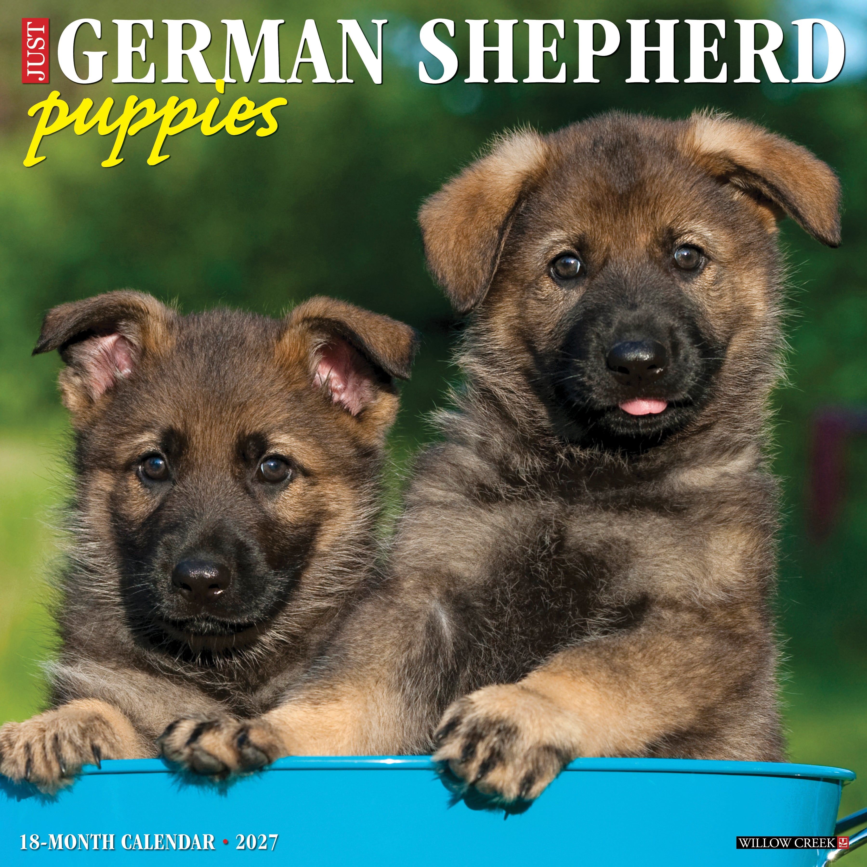 Willow Creek Press, German Shepherd Puppies 2027 Wall Calendar