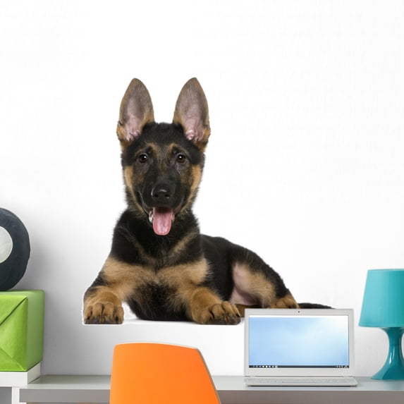 German Shepherd Puppy 3 Wall Decal by Wallmonkeys Peel and Stick Graphic (24 in W x 21 in H) WM5049