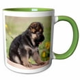 thumbnail image 1 of 3drose, German Shepherd Puppy Dog - Na02 Zmu0175 - Zandria Muench Beraldo, 15oz Two-tone Green Mug, 1 of 6