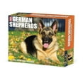 thumbnail image 1 of German Shepherds 2022 Box Calendar - Dog Breed Daily Desktop (Other), 1 of 4