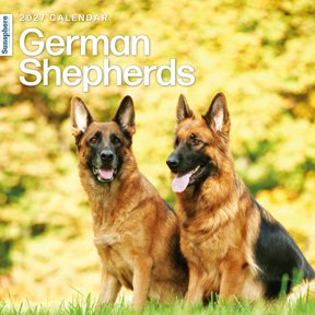 German Shepherds 2027 Wall Calendar | Sunsphere by MCP