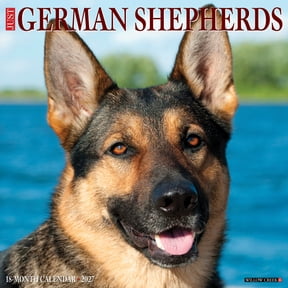 Willow Creek Press, German Shepherds 2027 Wall Calendar