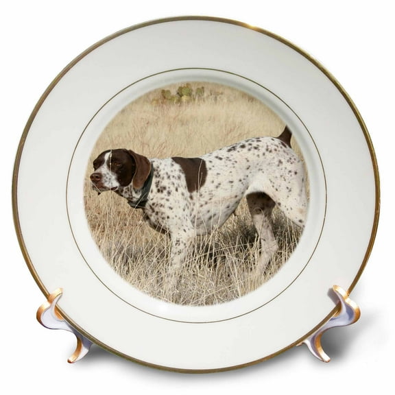 3dRose, German Shorthair Pointer, 8 inch Porcelain Plate