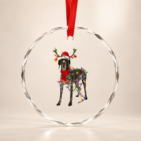 German Shorthaired Pointer Dog Tree Christmas Lights Glass Ornament