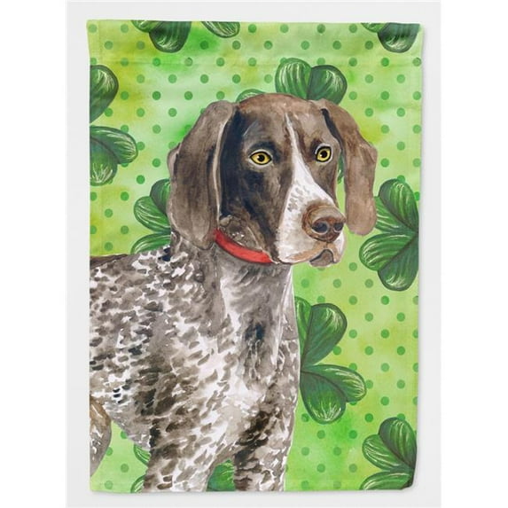 German Shorthaired Pointer Saint Patricks Flag Canvas - House Size