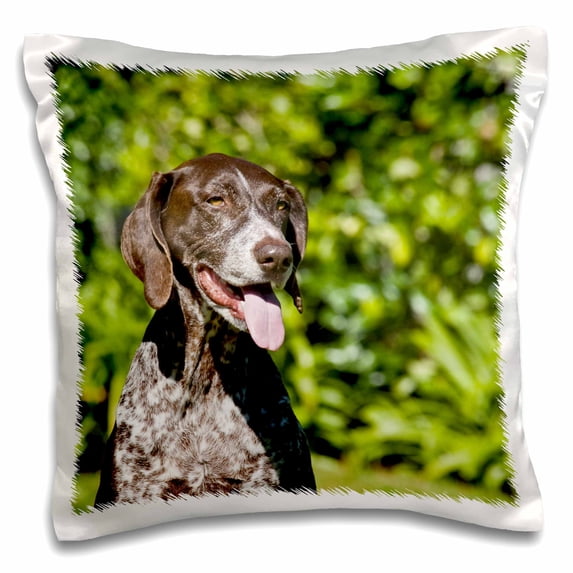 3dRose, German Shorthaired Pointer dog - NA02 ZMU0167 - Zandria Muench Beraldo, 16x16 inch Pillow Case