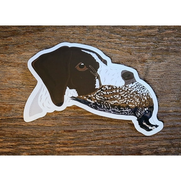 German Shorthaired Pointer with Quail Sticker Decal