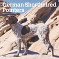 thumbnail image 1 of German Shorthaired Pointers 2025 12 X 24 Inch Monthly Square, 1 of 9