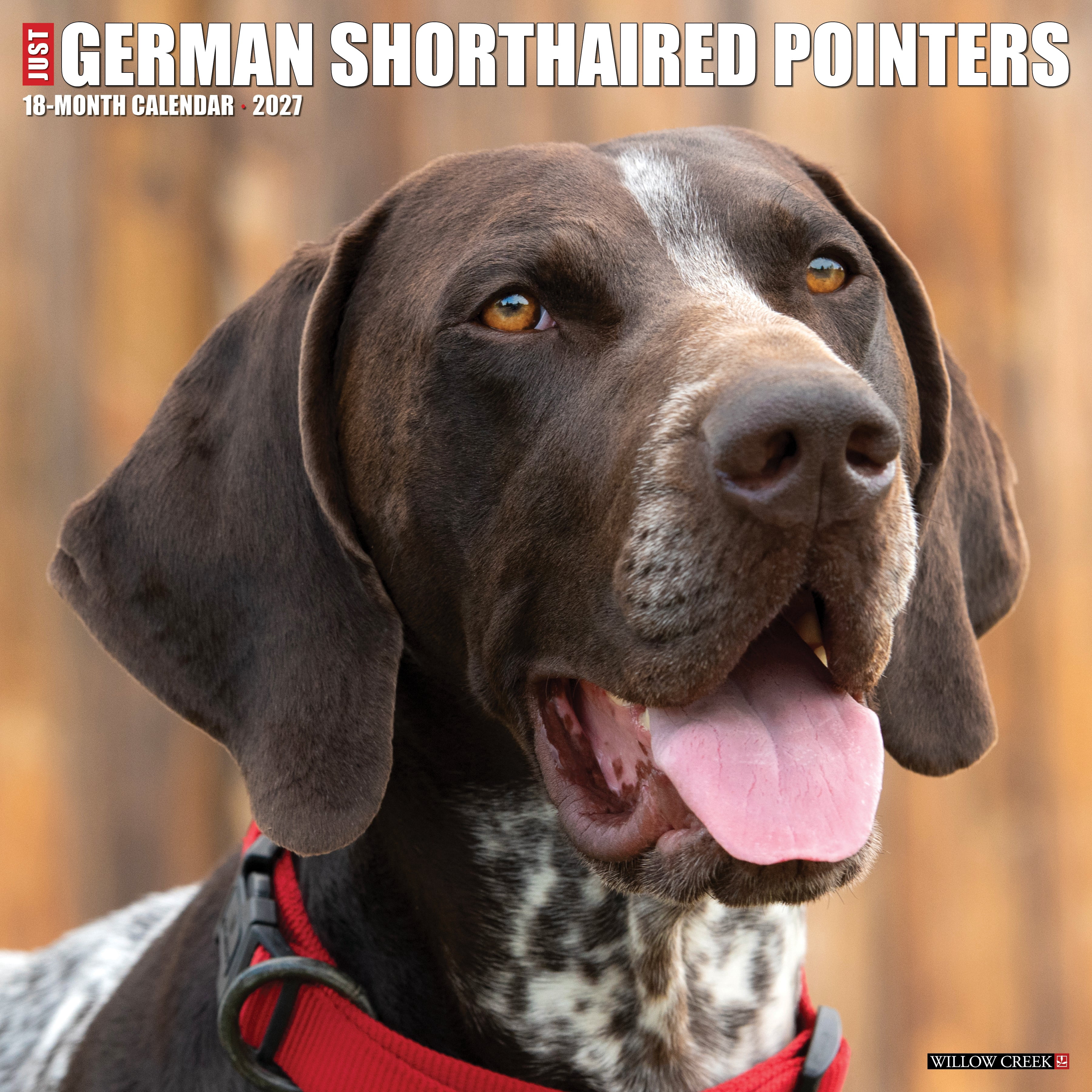 Willow Creek Press, German Shorthaired Pointers 2027 Wall Calendar