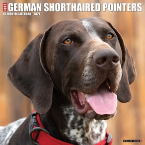 Willow Creek Press, German Shorthaired Pointers 2027 Wall Calendar