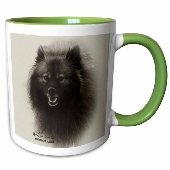 3drose, German Spitz, 11oz Two-tone Green Mug