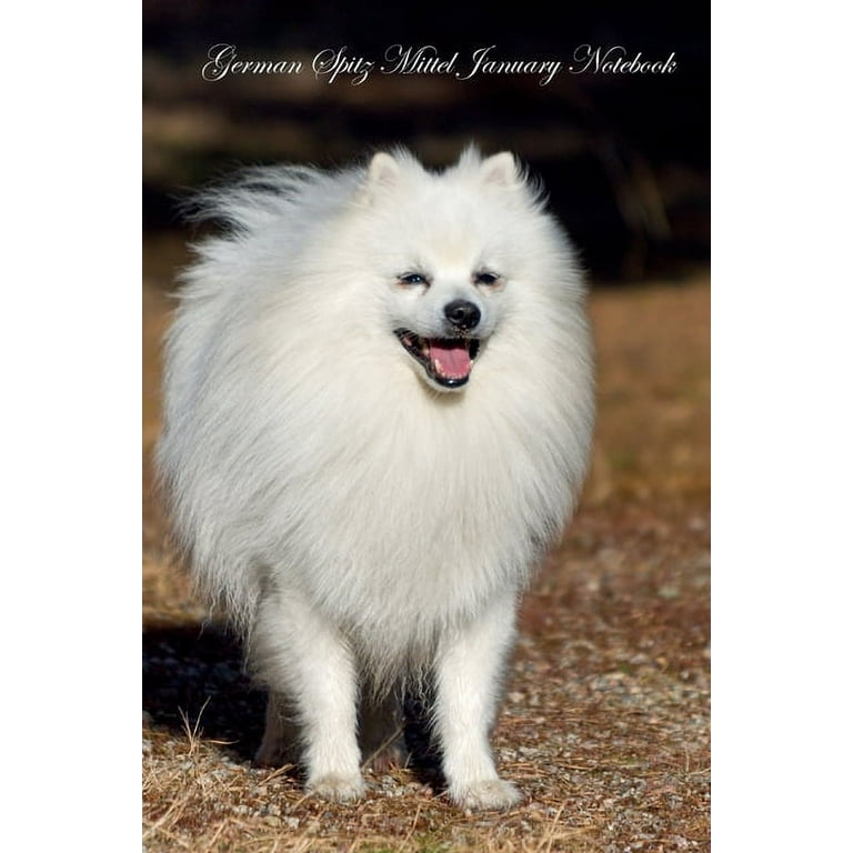 （セール）開催中 人気ブランドも続々プライス German German Notebook, Lined Plain January Mittel Spitz その他