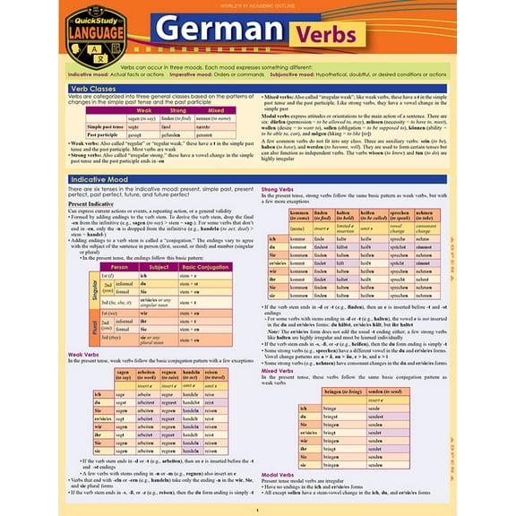 German Verbs: A Quickstudy Language Reference Guide (Other)