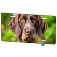 thumbnail image 1 of German Wirehaired Pointer Dog Photo Metal Novelty License Plate, 1 of 7