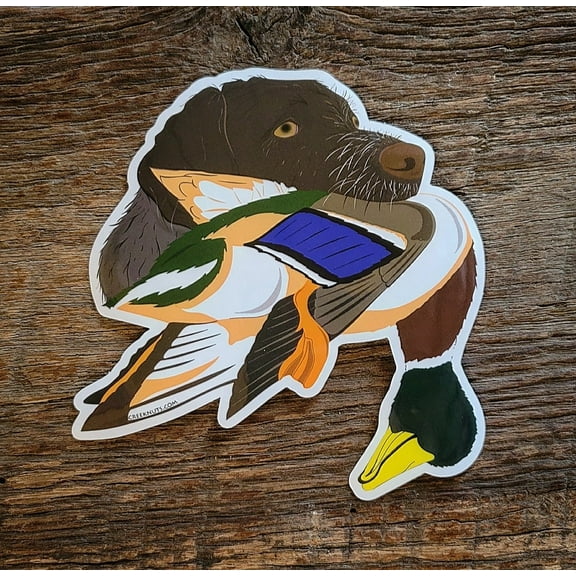 German Wirehaired Pointer with Mallard Duck Sticker Decal