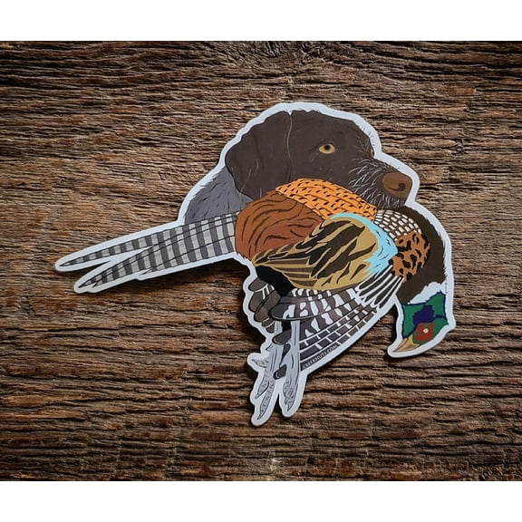 German Wirehaired Pointer with Pheasant Sticker Decal