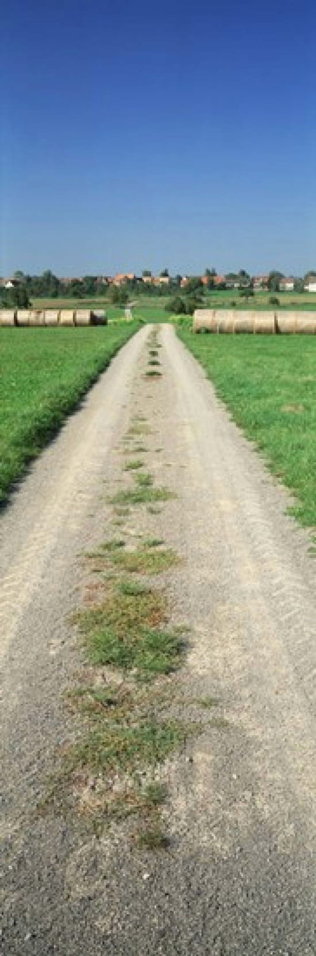 Germany Hay bales along a road Canvas Art - Panoramic Images (36 x 12)