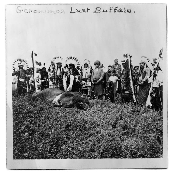 Geronimo'S Last Buffalo. Geronimo Standing Over Dead Buffalo History (18 x 24)