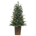 thumbnail image 1 of Gerson 4 ft. Pre Lit Clear UL Potted Natural Cut Blue Spruce, 1 of 3
