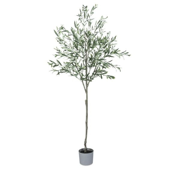Gerson 7 ft High Olive Tree with Plastic Pot